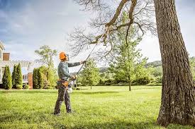 Best Seasonal Cleanup (Spring/Fall)  in Charles Town, WV
