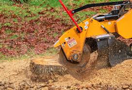 Best Tree and Shrub Care  in Charles Town, WV