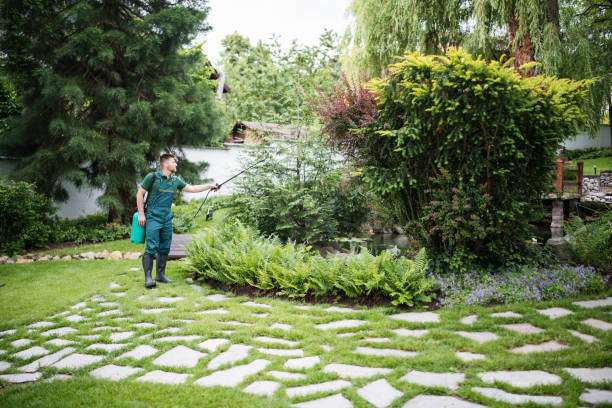 Best Arborist Consultation Services  in Charles Town, WV